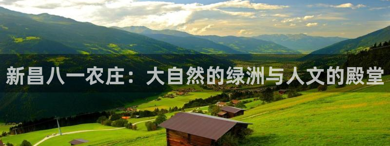 摩根合约娱乐宝