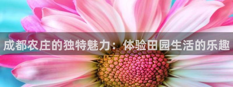 摩根娱乐宝是什么意思