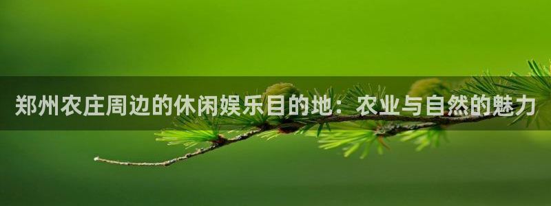 摩根娱乐视频大全
