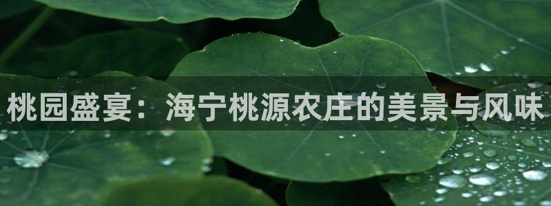武汉摩根众睿娱乐