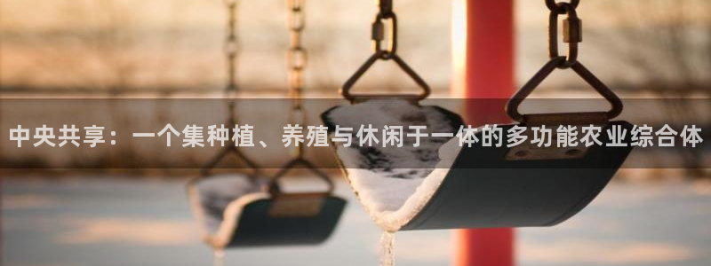 华视娱乐摩根王琛
