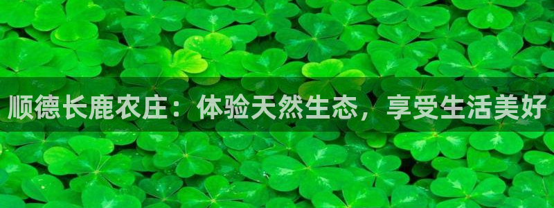 摩根娱乐宝下载