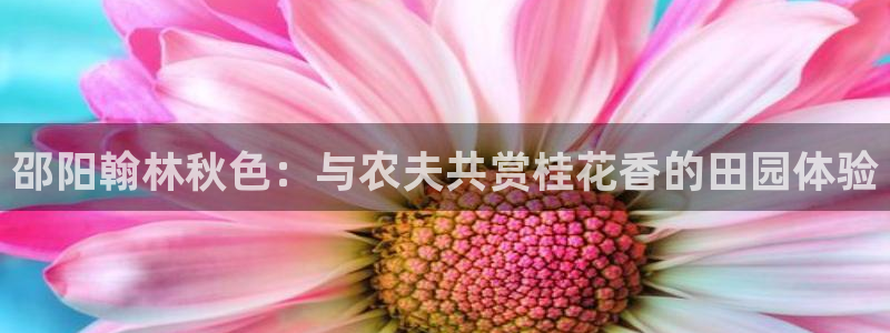 摩根中央公园娱乐