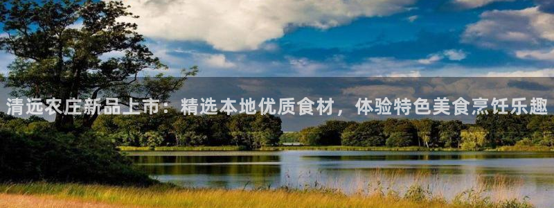 摩根娱乐宝是什么东西