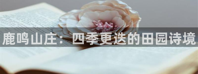摩根娱乐 c招a商77130