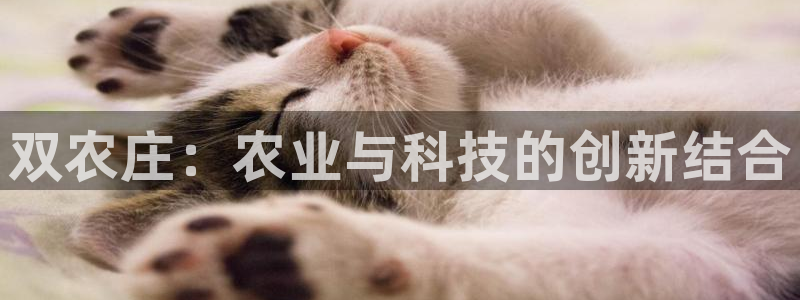 摩根娱乐彩票被骗了