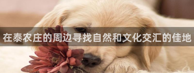 浙江义乌摩根娱乐场所