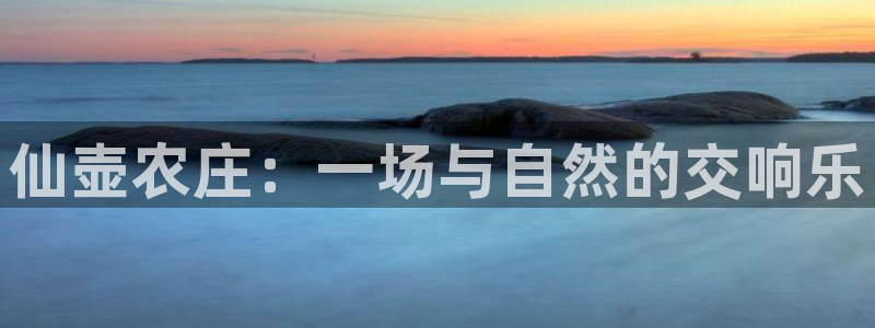 摩根娱乐↑总s管50015