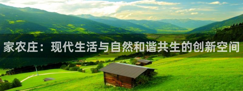 摩根娱乐宝是什么游戏
