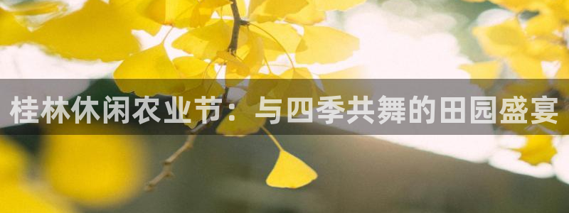 摩根国际娱乐宝书籍