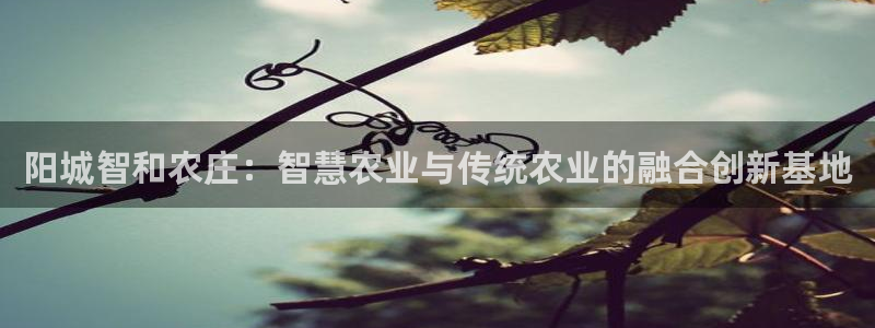 泉州摩根娱乐会所招聘