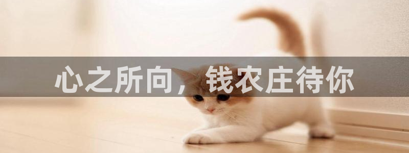 泉州摩根会娱乐会所地址