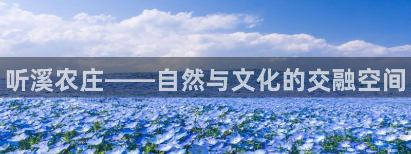 摩根国际娱乐宝合法吗