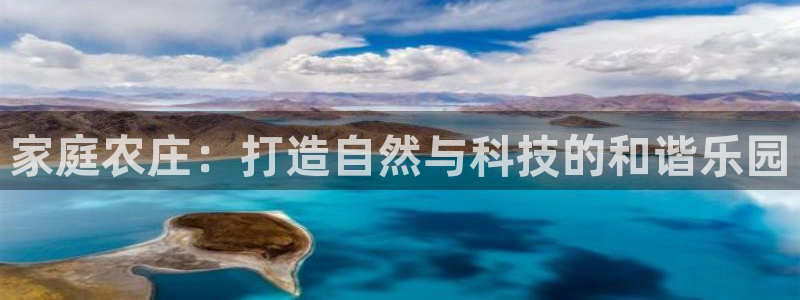 摩根娱乐视频大全