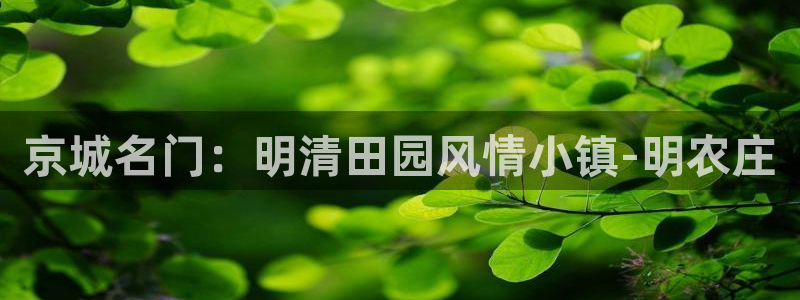 深圳摩根时代娱乐公司