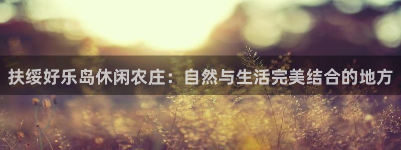 摩根娱乐宝可靠不
