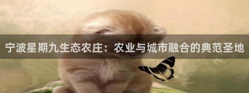 摩根娱乐挂机项目是什么