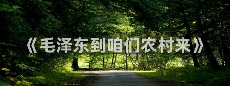 泉州摩根会娱乐场所