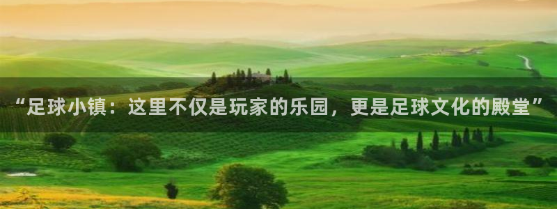 摩根娱乐宝的代理方式