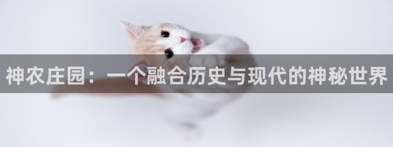摩根国际娱乐宝官网下载
