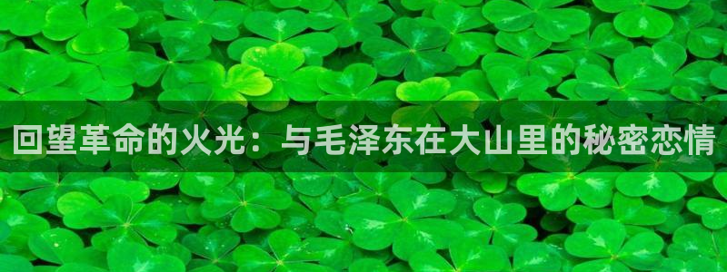 摩根360娱乐