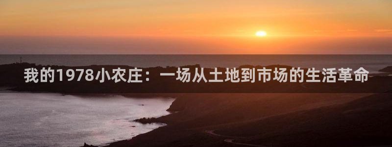摩根娱乐宝教程
