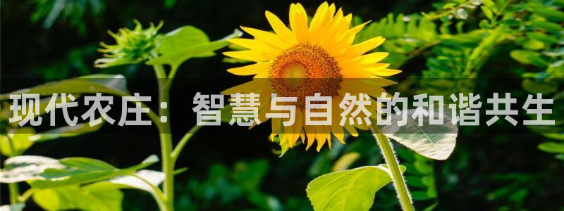 义乌摩根娱乐会所邮箱