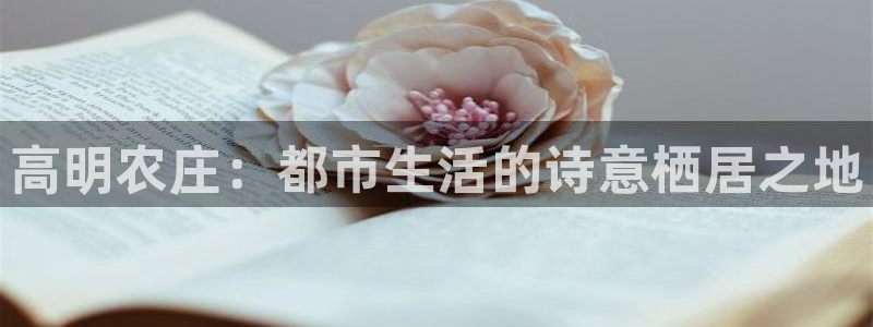 摩根国际娱乐会所电话