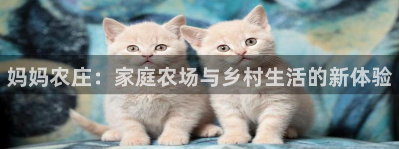 泉州摩根会娱乐保安招聘