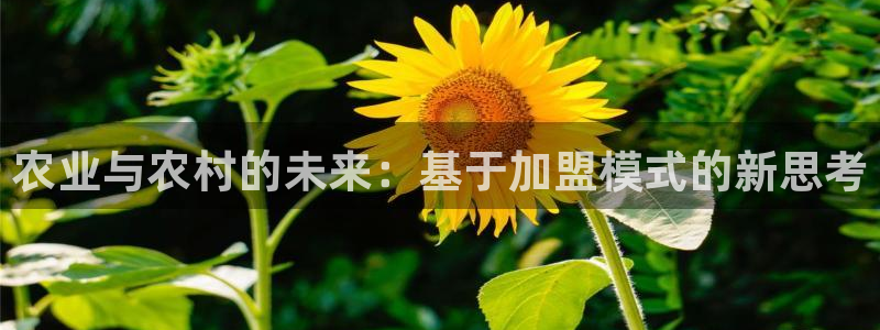 摩根娱乐宝总部