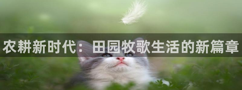 摩根娱乐宝与