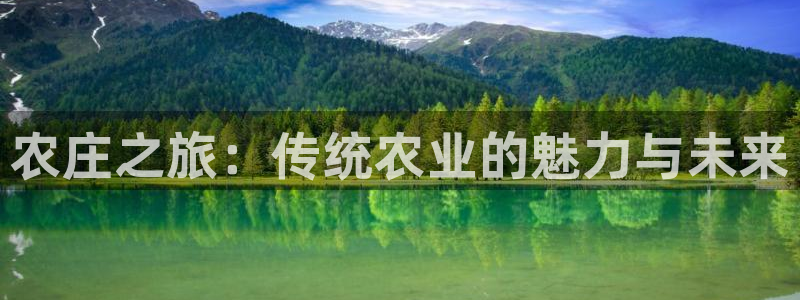 摩根娱乐宝正规吗