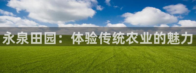 摩根娱乐宝账户
