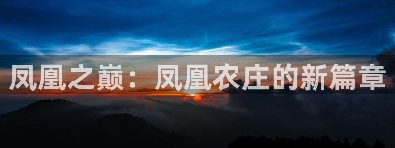 娱乐解说摩根王者荣耀