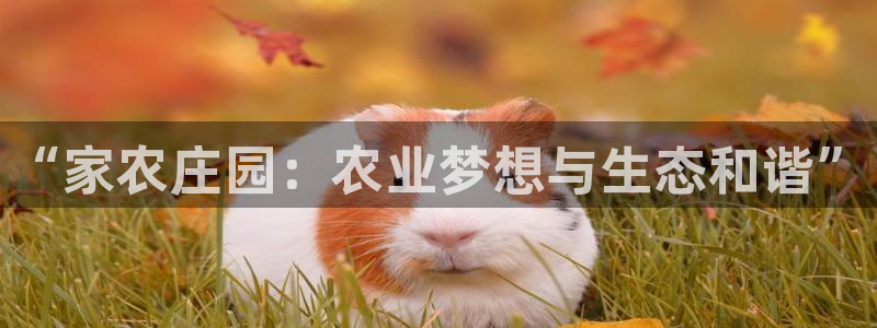 摩根娱乐宝是什么意思