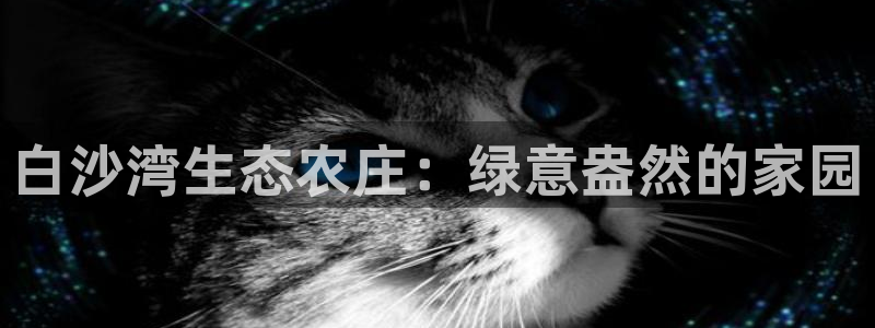 摩根娱乐宝k线图
