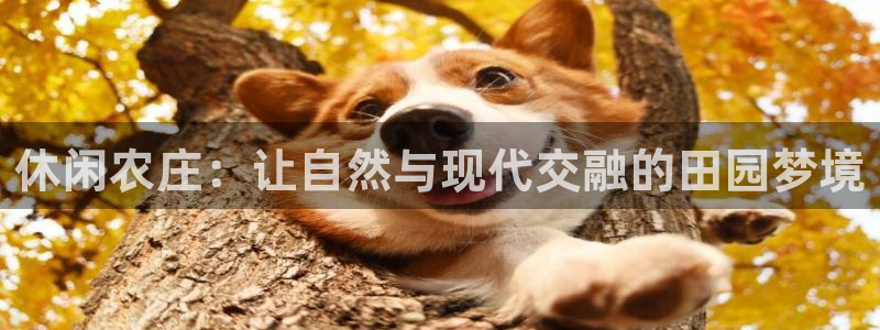 摩根娱乐宝APP下载