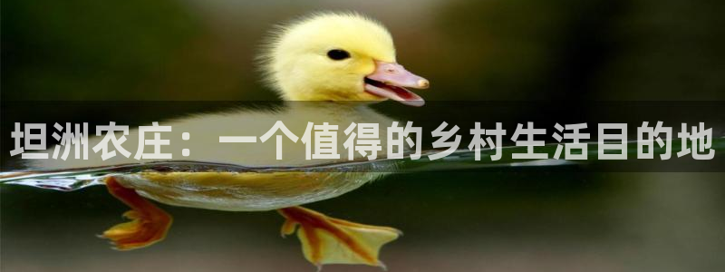 济宁摩根国际娱乐