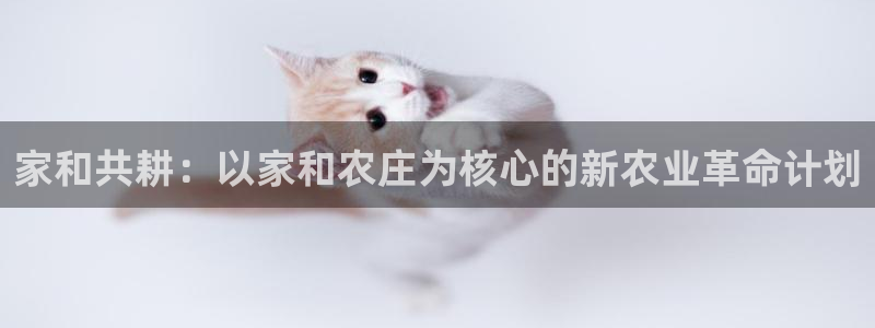 武汉摩根众睿娱乐
