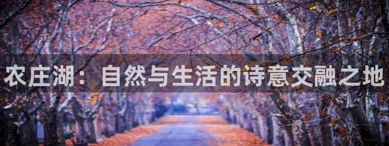 摩根娱乐宝与