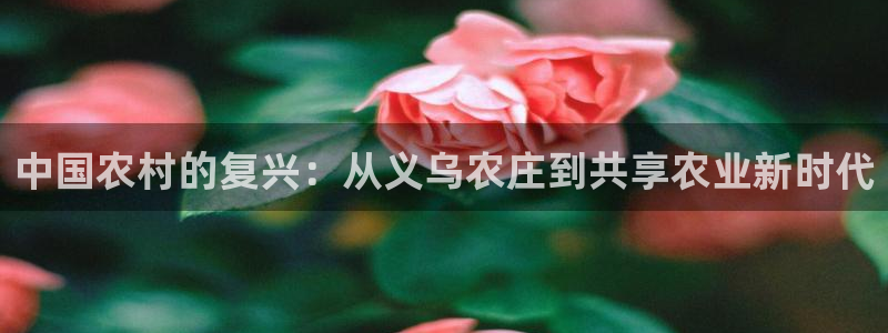 摩根360休闲娱乐