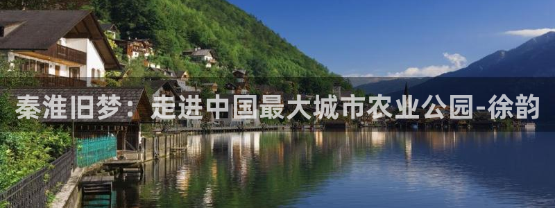 摩根娱乐宝机构代码