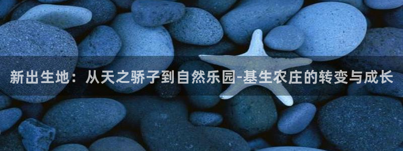 玩摩根娱乐宝亏了三千