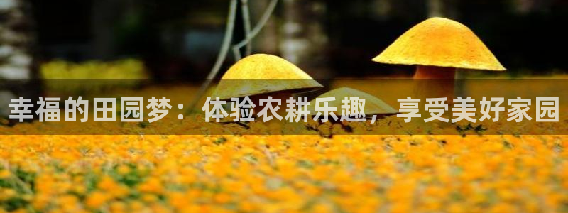 摩根娱乐部