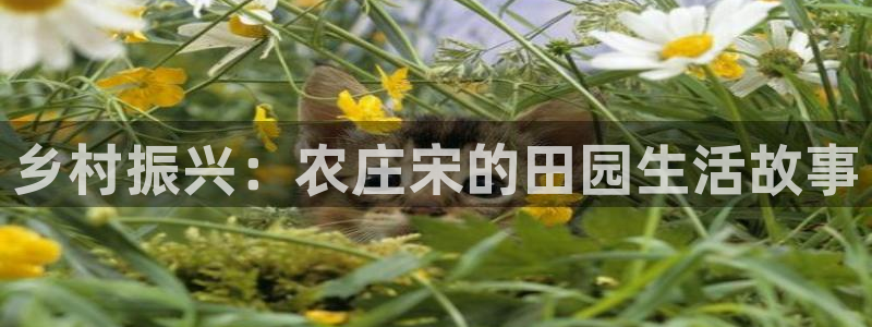 义乌摩根娱乐会所公主