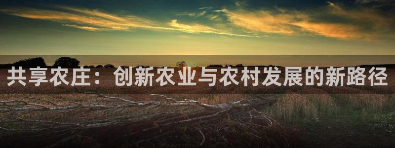 摩根娱乐百家号
