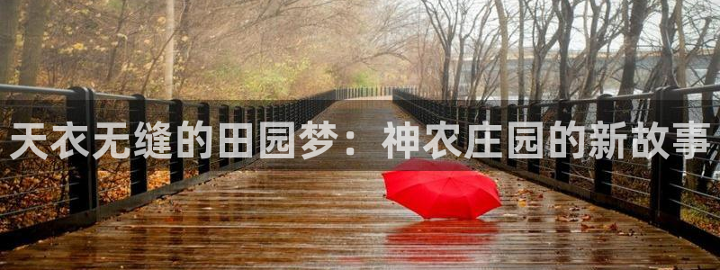 白宫摩根会娱乐有限公司
