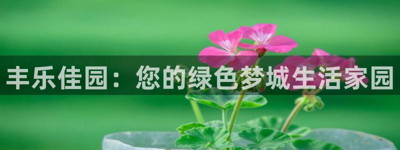 长春拉图摩根娱乐