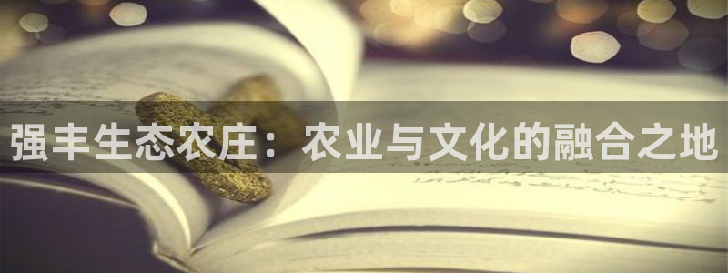 摩根娱乐宝 怎么样