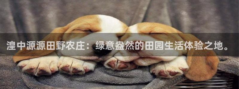 亚瑟摩根娱乐的地方